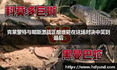 熊猫体育官网